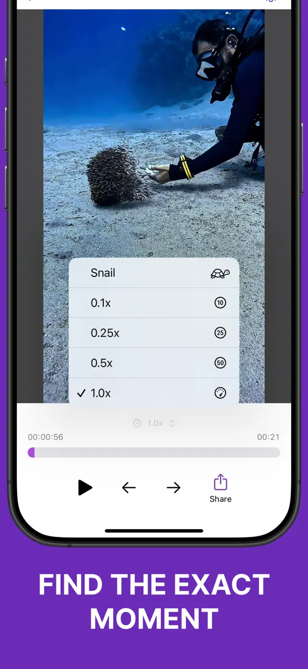 Frame Grabber – Video Snapshot screenshot 3